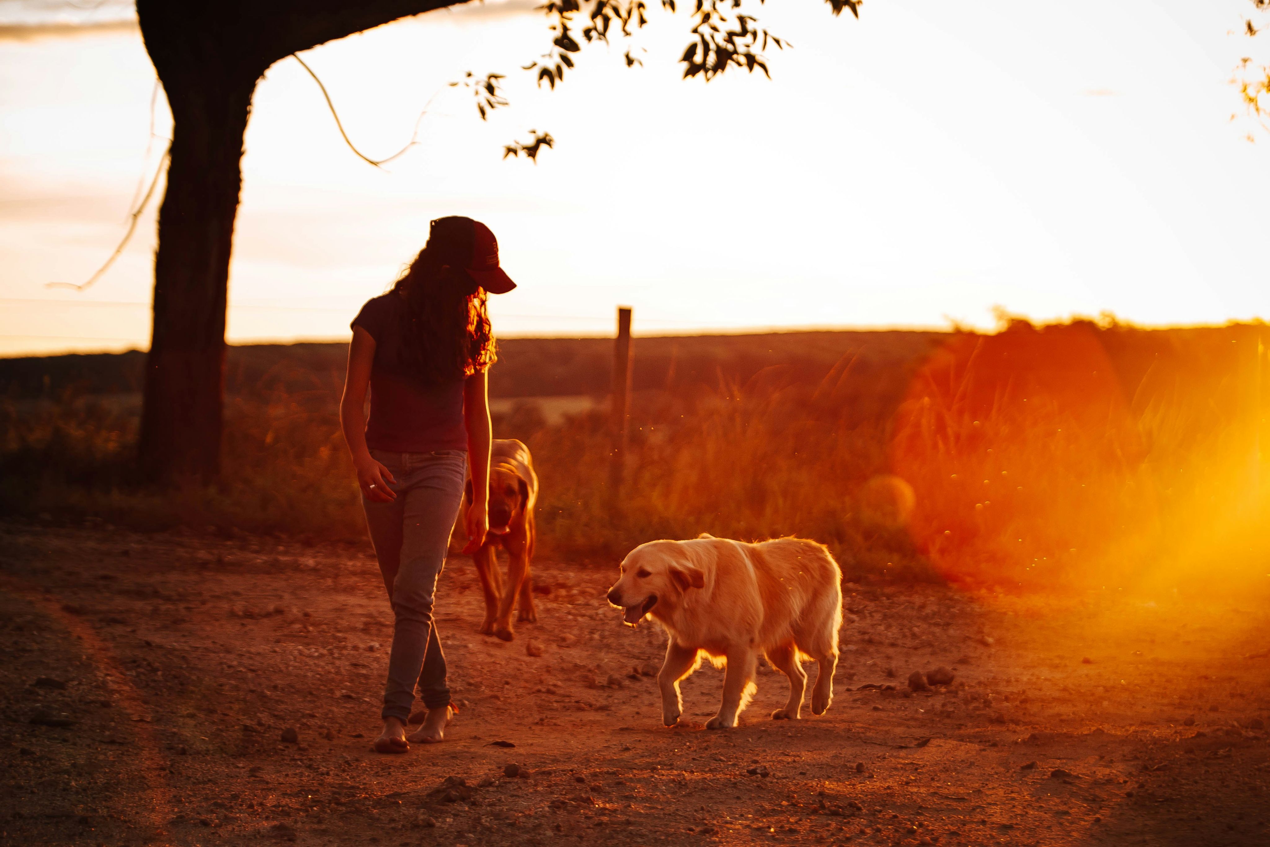 woman in brown tank top and brown shorts holding leash of white short coated dog during